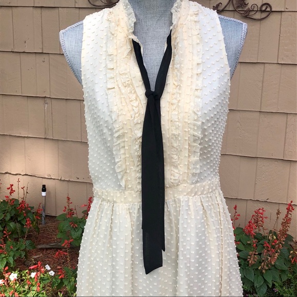 J.Crew Swiss Dot Chiffon Dress - Picture 3 of 4
